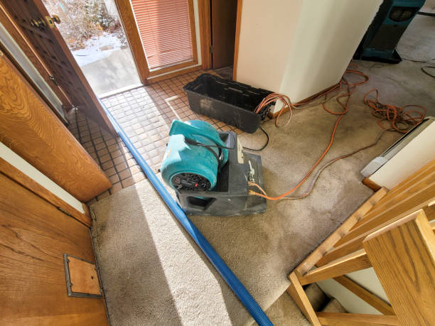 Best 24/7 water damage repair  in Grandview Heights, OH