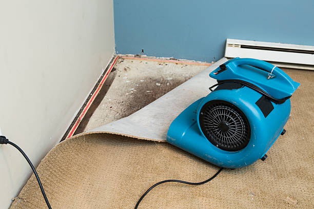 Best Carpet water damage restoration  in Grandview Heights, OH